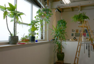 Plant corner! In Kathy's studio space.